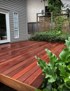 small deck surrounded by plants